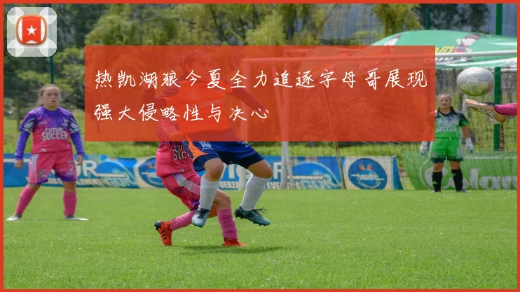 热凯湖狼今夏全力追逐字母哥展现强大侵略性与决心