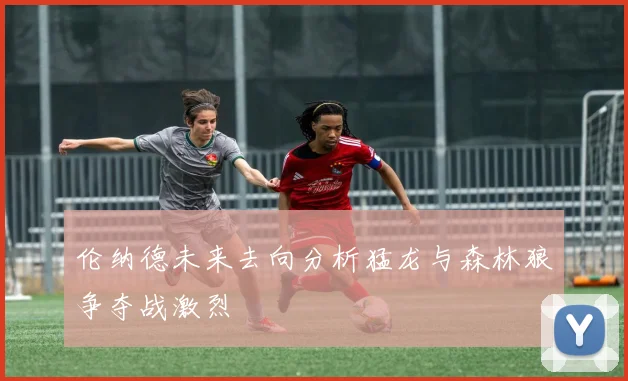 伦纳德未来去向分析猛龙与森林狼争夺战激烈