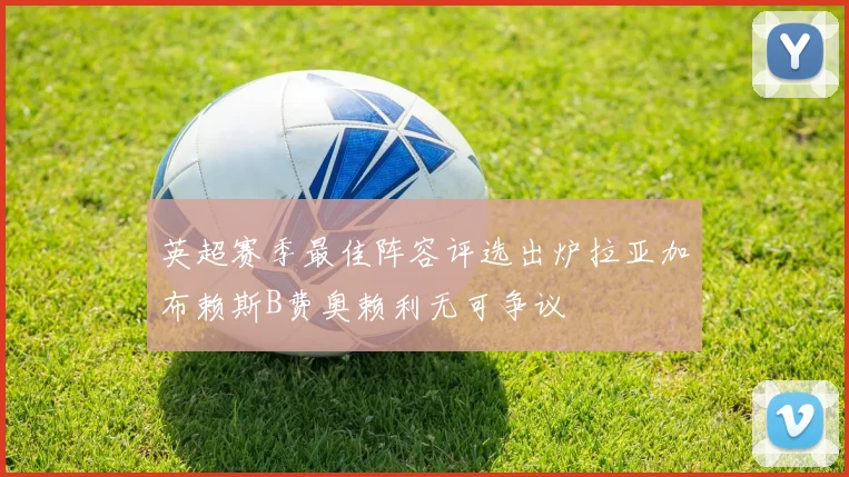 英超赛季最佳阵容评选出炉拉亚加布赖斯B费奥赖利无可争议